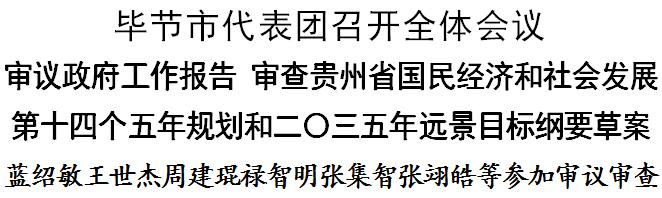 毕节市代表团,毕节市代表团入场