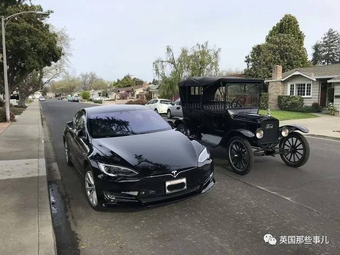 蓝鲸实拍有多大,蓝鲸到底有多大参照物