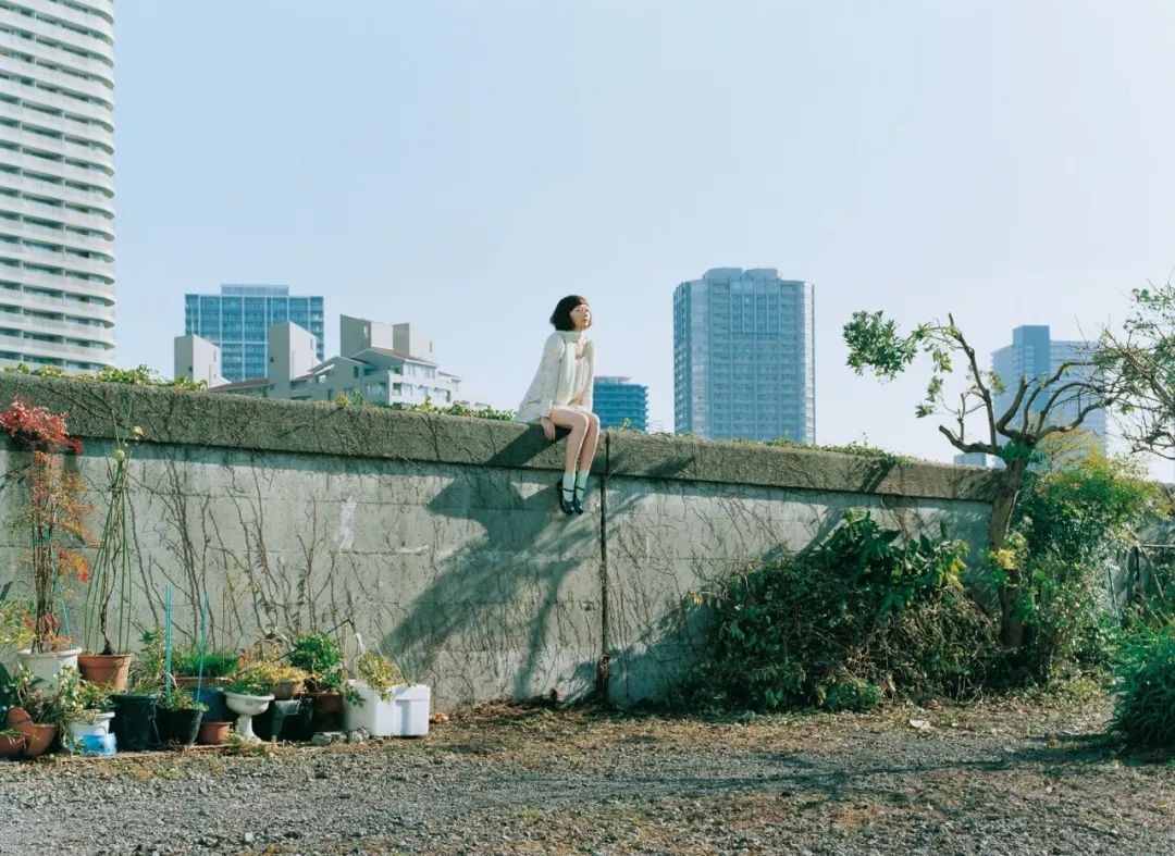 当代青年为什么难进入真正的恋爱,大龄青年想谈恋爱太难了