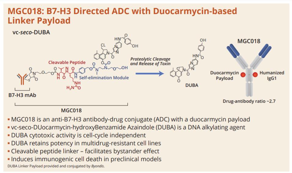 「聚焦ASCO」B7-H3ADC临床数据出炉：抗肿瘤活性初显
