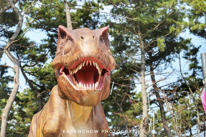 韩国安东美食,韩国釜山必游胜地