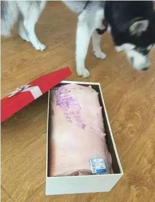 “晚上出来方便吗”“不了，我家有厕所”直男聊天记录曝光，笑疯