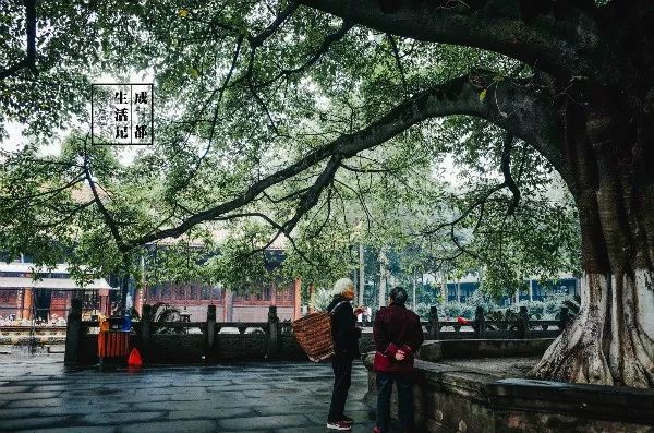 成都同根生,成都北门对比南门