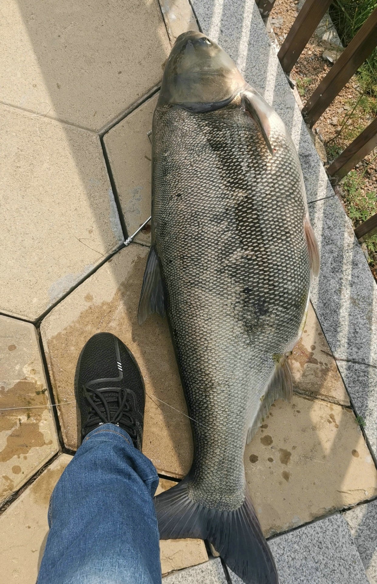 楸肩帇琚挀楸奸珮鎵嬮挀涓婃潵,楸肩帇琚汉閽撹蛋鍚庣画