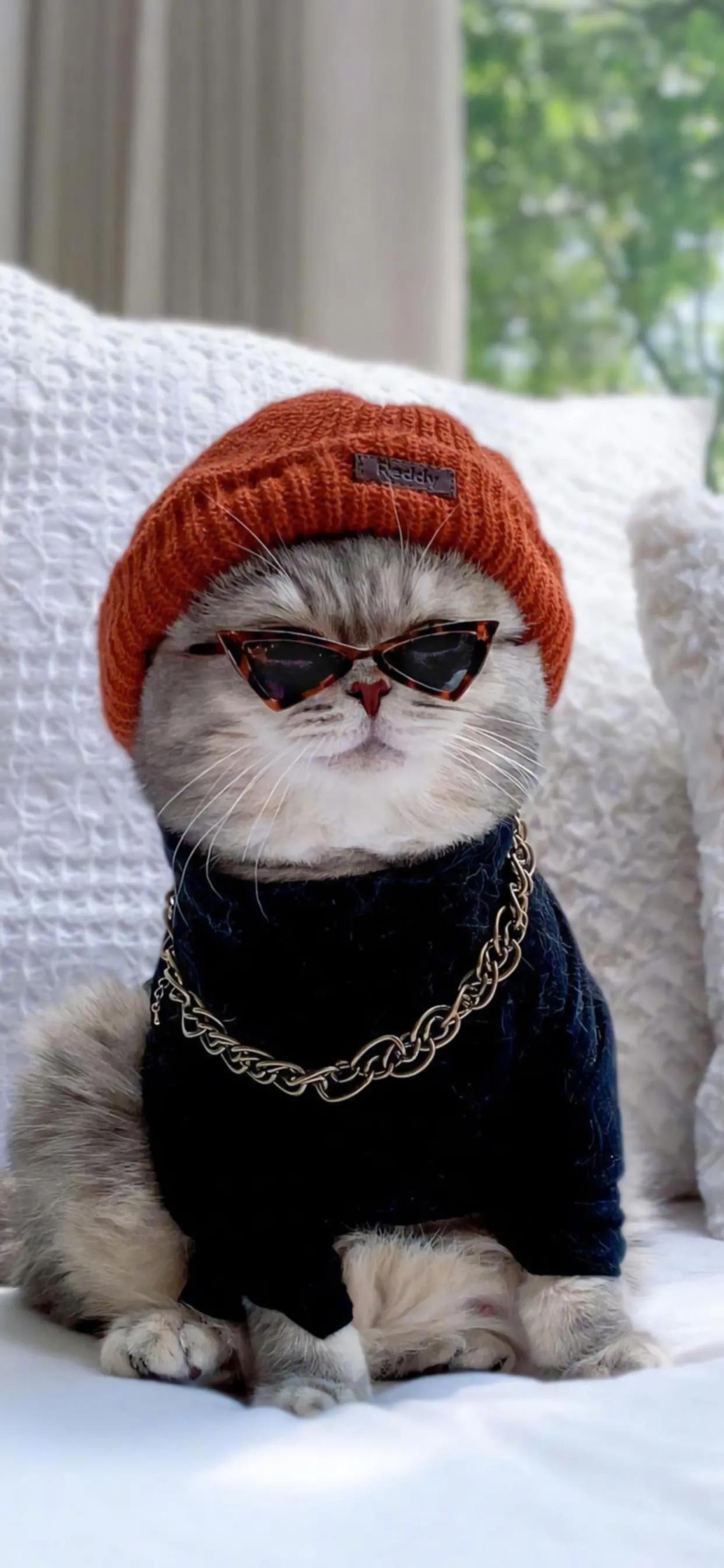 壁纸不管你做什么都要做到极致,不做别人公主只做自己的女王壁纸