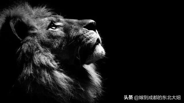 做翻译做副业很赚钱,副业赚点零花钱兼职