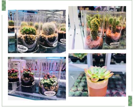 kkv网红打卡地集装箱生活馆,kkv打卡店在哪里