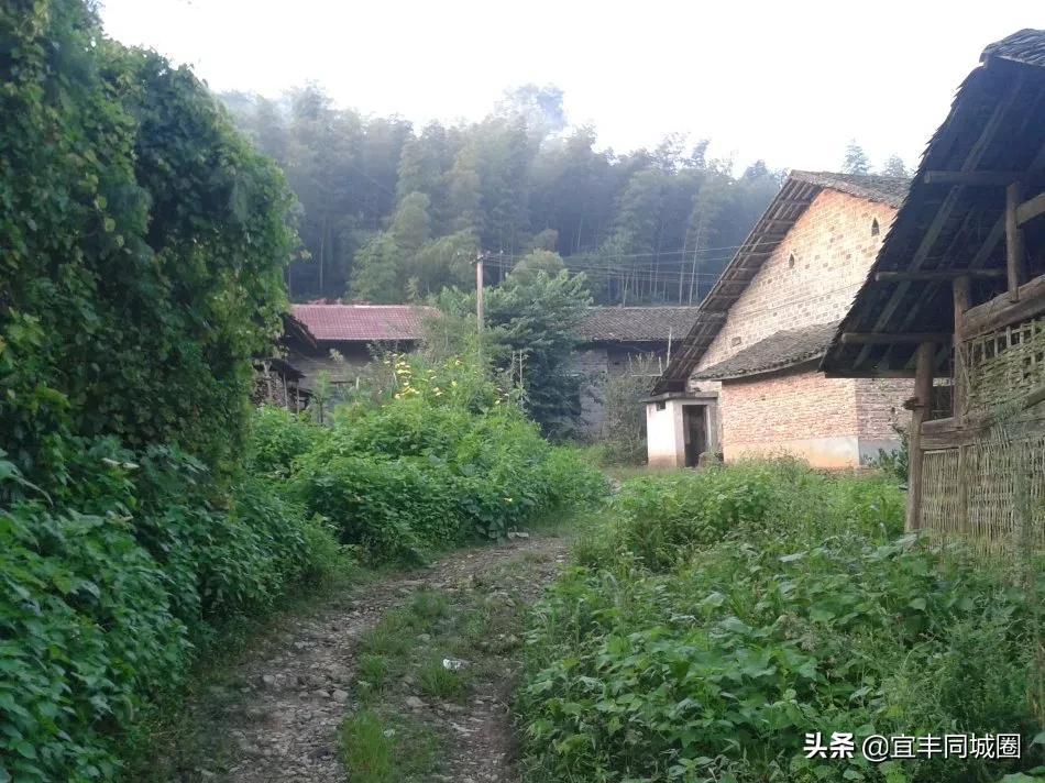 这些失传已久的童谣你还记得吗,这些即将消失的老行当你还记得吗