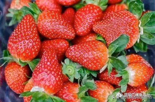 昆明人吃的比较多的美食,云南昆明饮食是什么口味