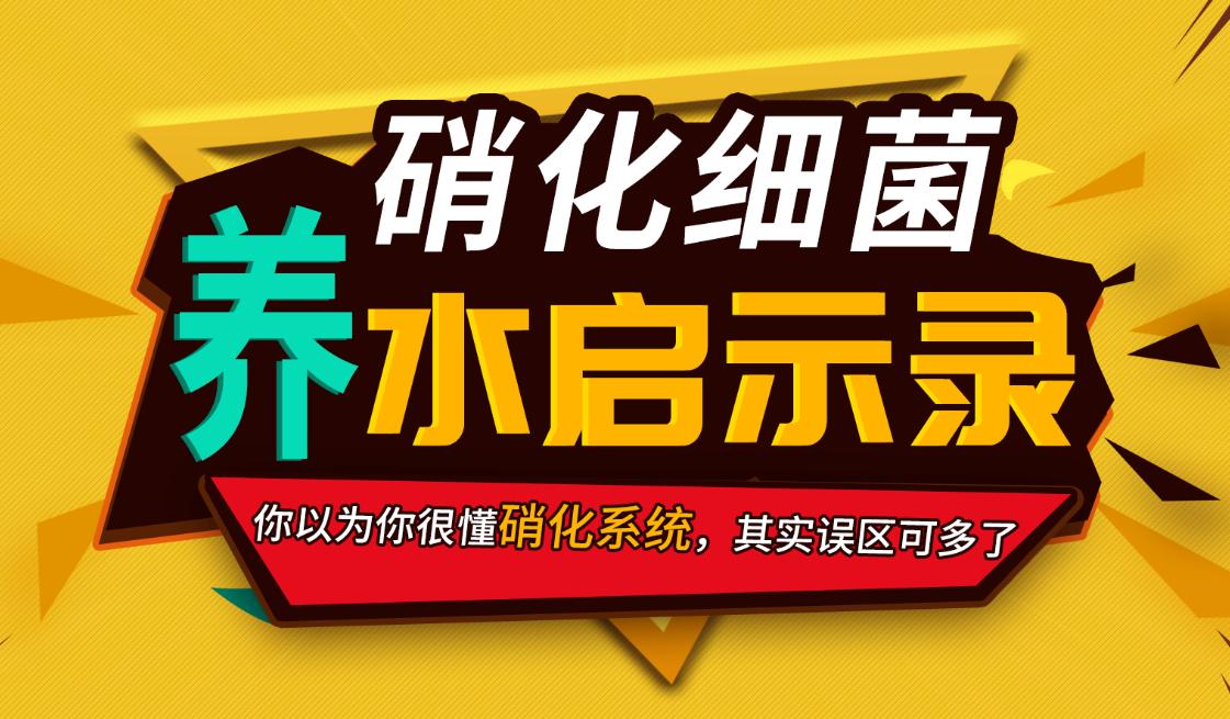 硝化系统到底怎么建立,硝化系统是怎么样的