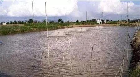 白带检查ph值异常,ph值异常怎么调