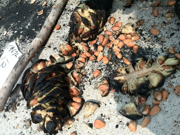 那些属于90后的童年记忆,盘点那些令人怀念的童年记忆