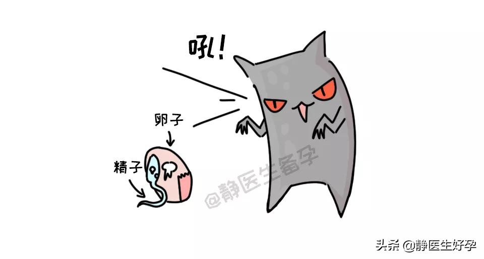 静医生备孕:想要备好孕?这些”黑色受孕时间“了解一下