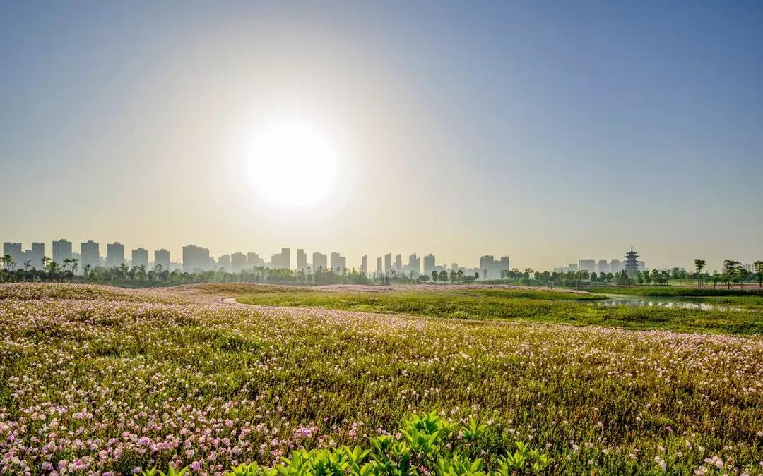 长沙洋湖湿地公园推荐视频,长沙洋湖湿地公园绿野仙踪