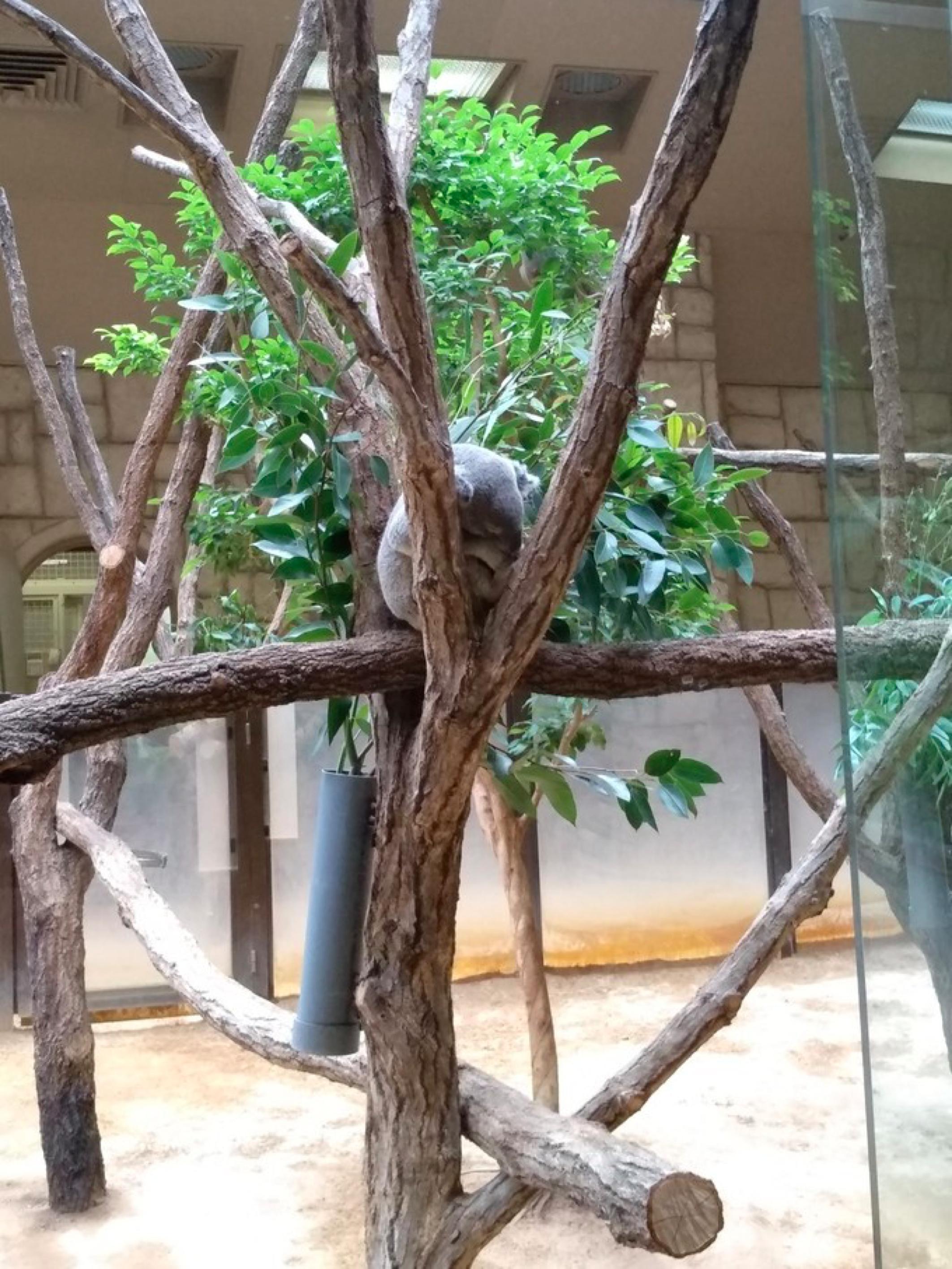 名古屋七日游自由行,名古屋3天自由行攻略