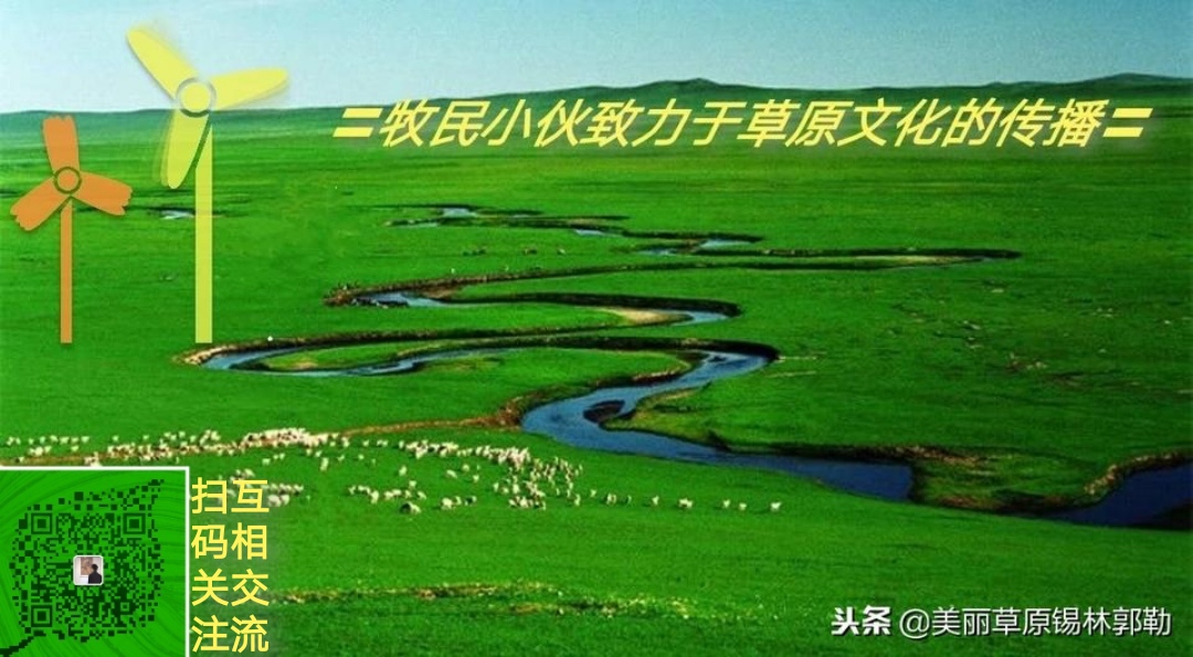 猪粪牛粪羊粪鸡粪哪种粪最好,鸡粪羊粪的养分含量