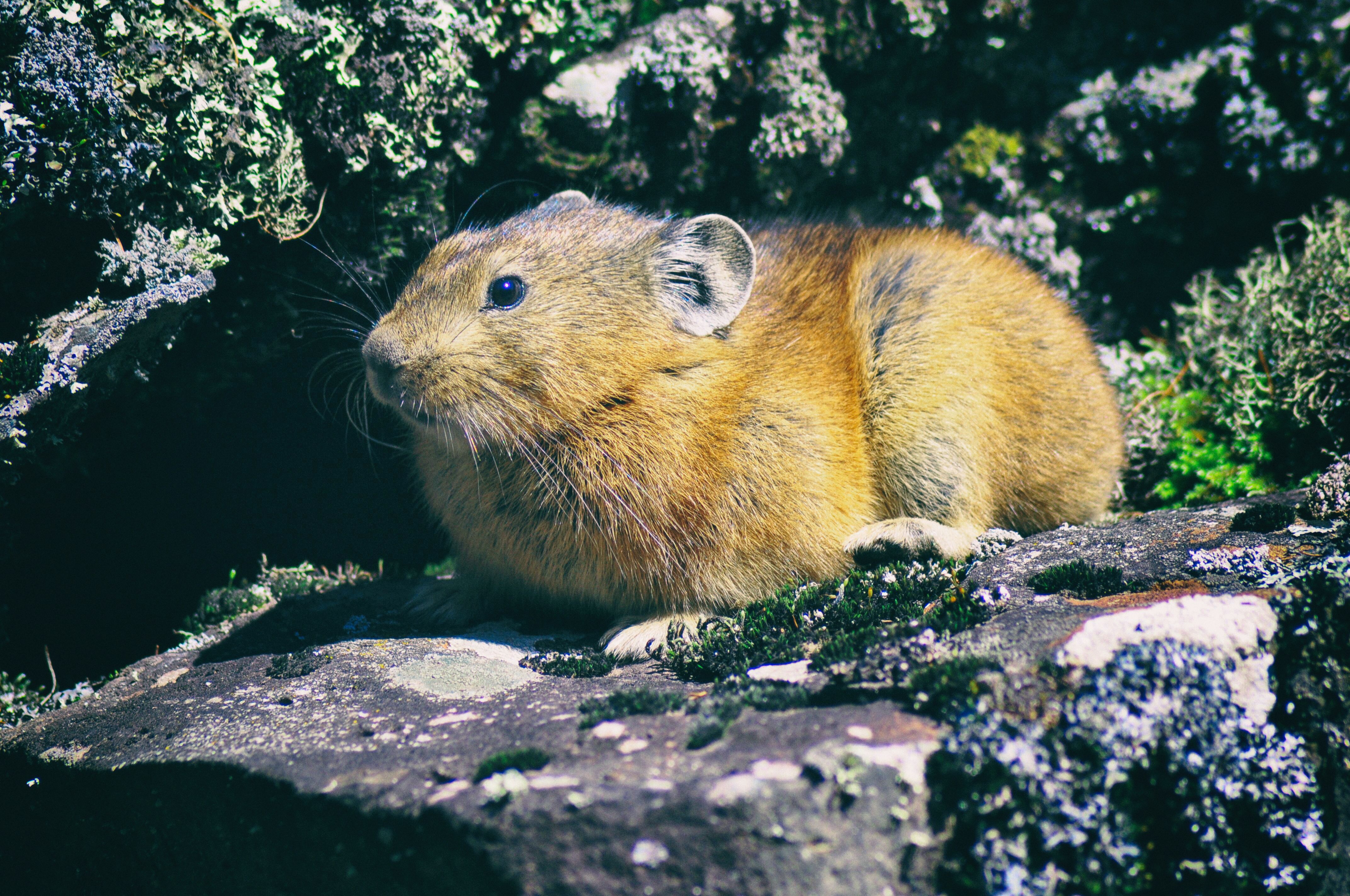 东北游记攻略,东北游记最新视频