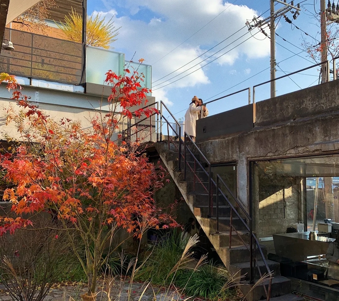 韩国网红设计师，把旧厂房改造成咖啡烘焙店，开这样的店真幸福