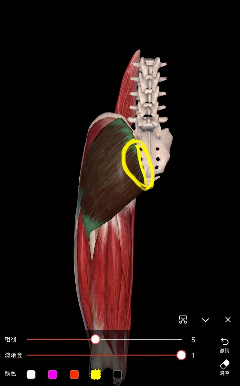 久坐腰骶麻木疼活动后减轻,久坐导致腰骶部疼吃什么药