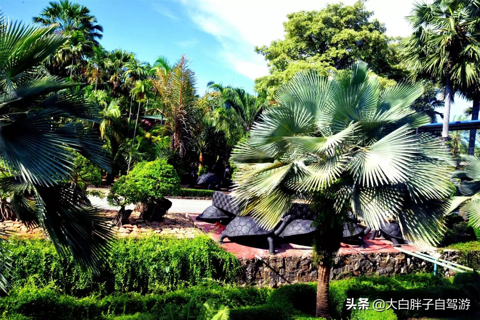 泰国风情之旅完整版小说,泰国风情十日游