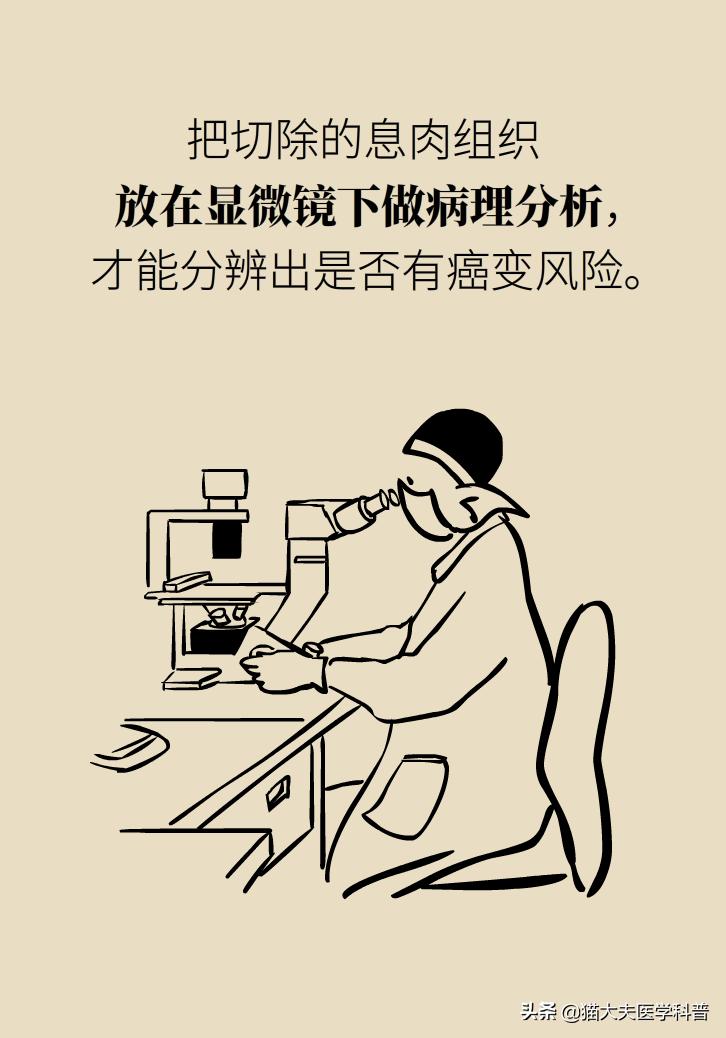 结节囊肿息肉的区别,结节增生囊肿息肉哪种癌前病变