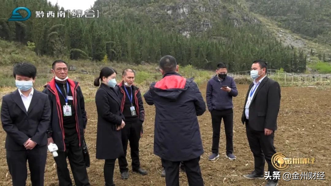 【电视版】兴仁农商银行：信贷支持高粱产业成就百姓致富梦