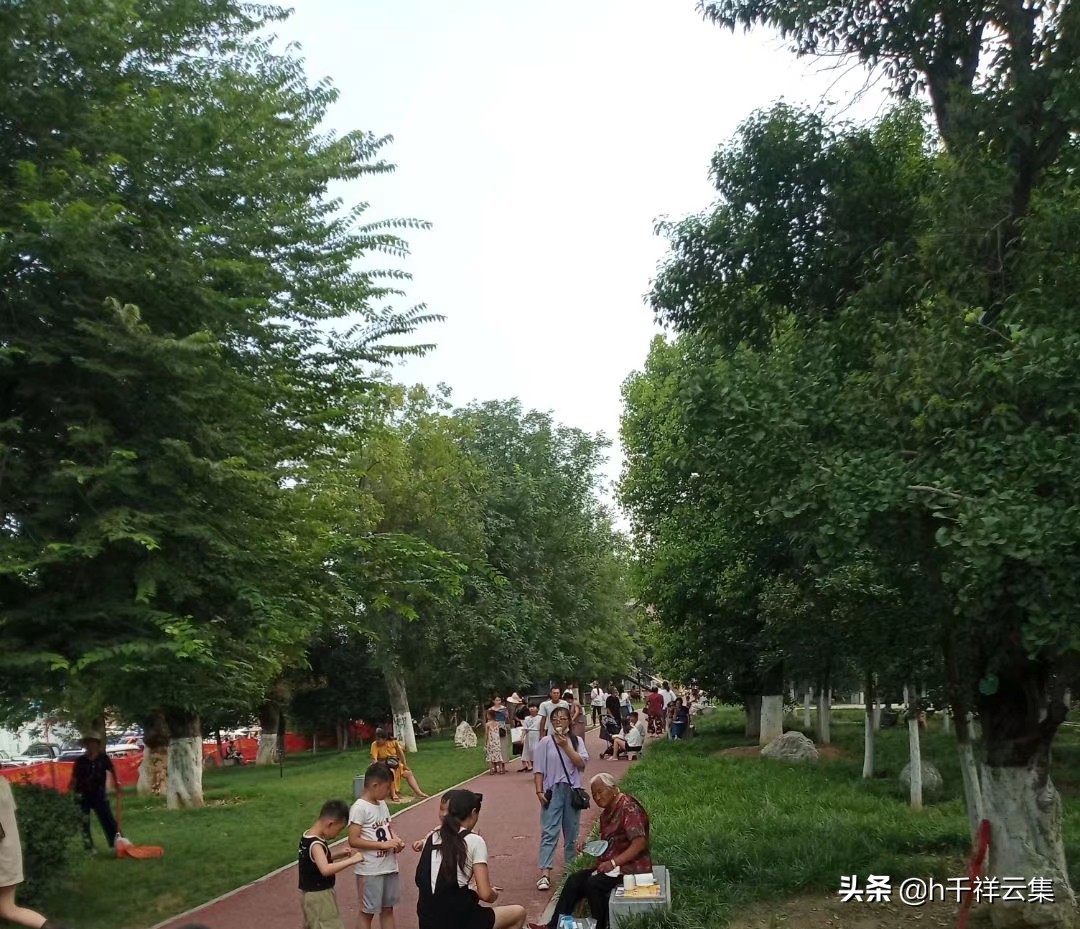 我的家乡商丘夏邑,夏邑又多一处美景有山有水还有花