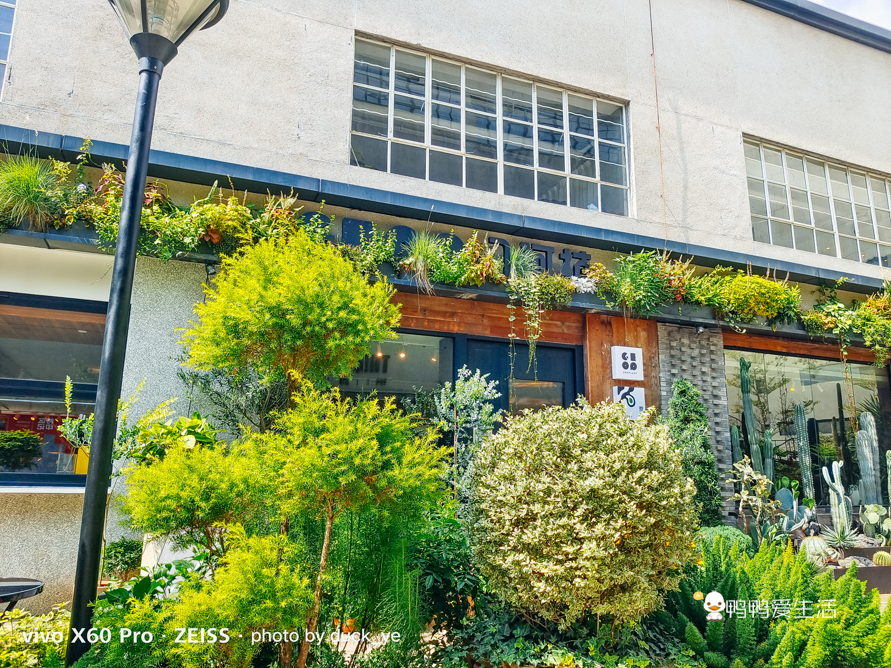 厦门废弃轮船网红打卡地,厦门旧厂房改造成网红圣地