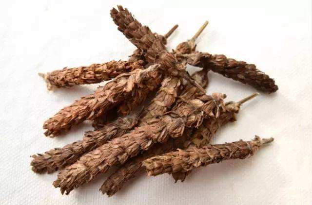 夏枯草搭配什么养肝护肝解毒,夏枯草清肝散结