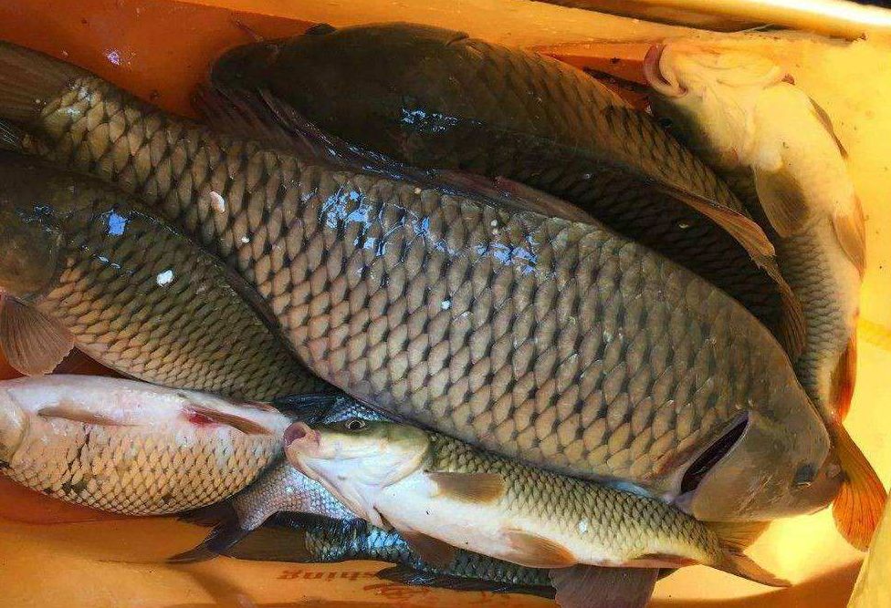 初学钓鱼入门攻略,初学者钓鱼入门基础知识