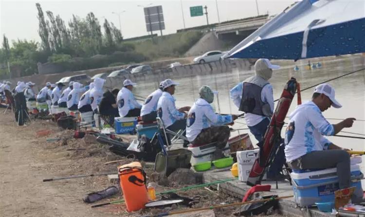 黑坑钓鲤鲫用什么饵比较合适,春季黑坑钓鲤用什么添加剂