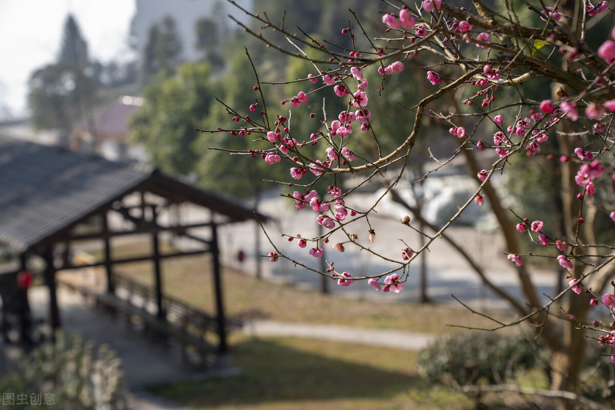 美容院桃花源,美容院不应该只是变美的地方