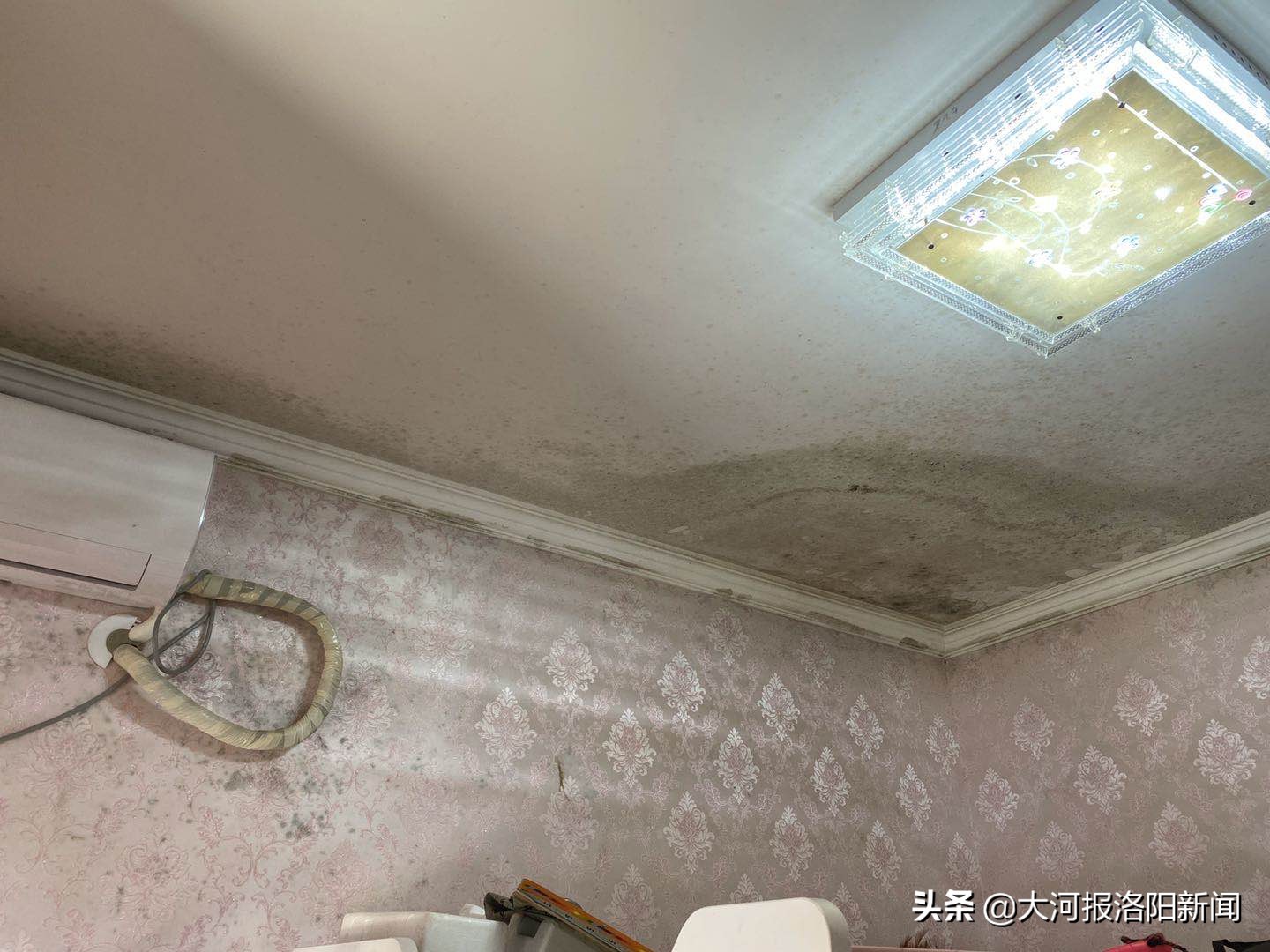 顶楼漏水屋内墙纸发霉,洛阳东方今典天汇中心居民:太“闹心”