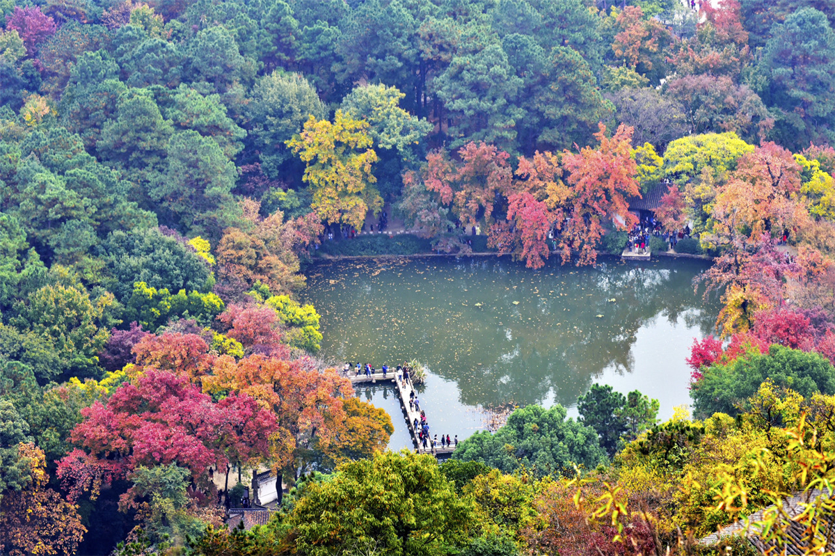 苏州秋天有什么好玩的,苏州秋天去哪里玩