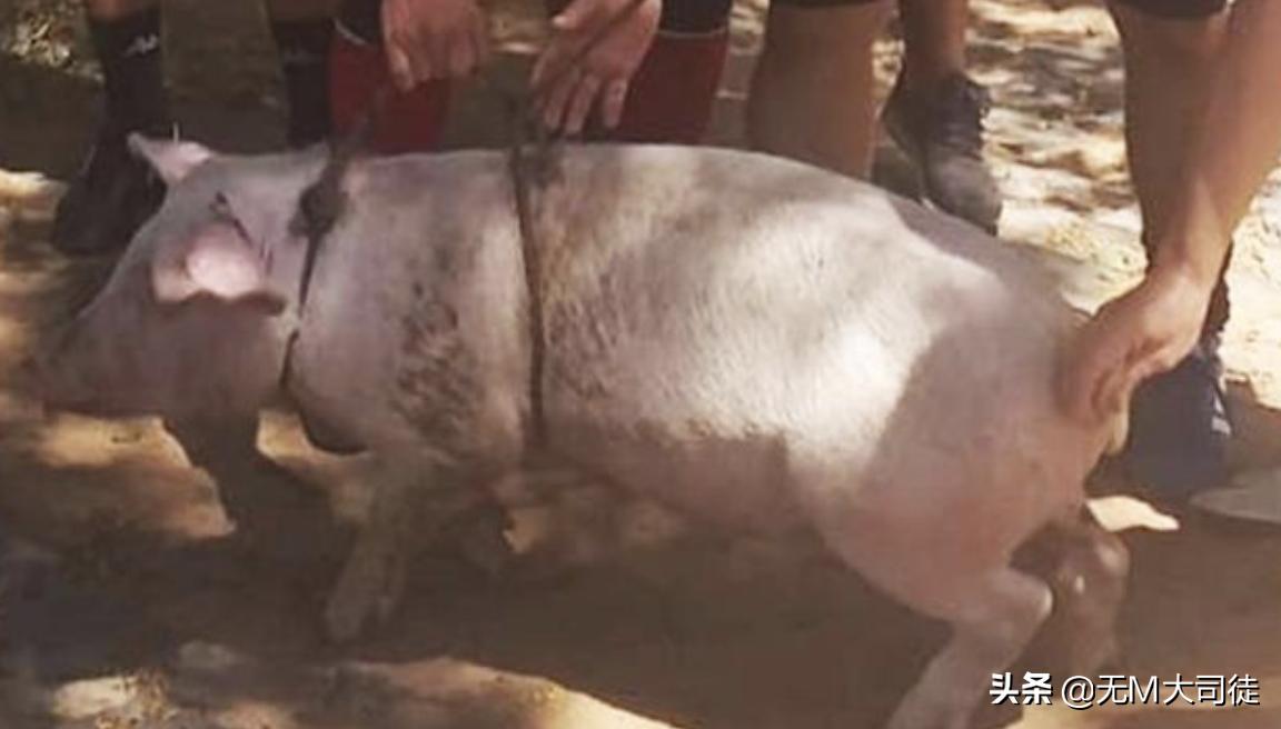 监狱里发生格斗比赛,在监狱里组织一场足球赛