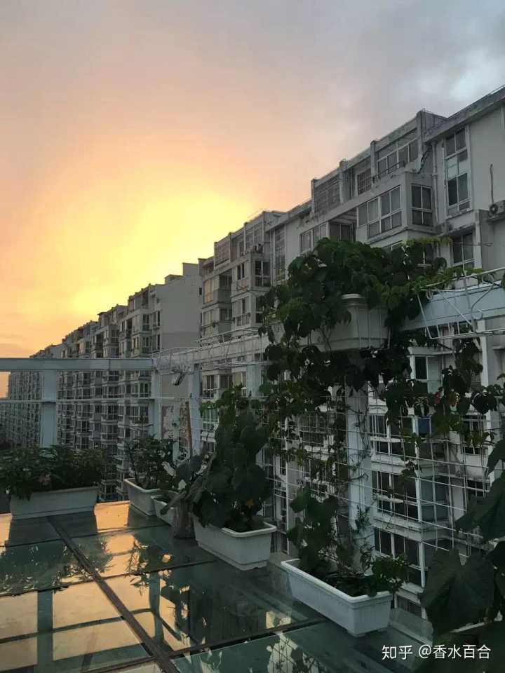 买了高层的人怎么样了,买了顶楼的房子后悔了吗