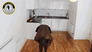 不去篮球训练营也能打好,不去篮球场怎么练习篮球