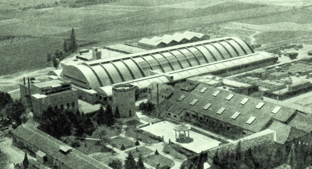 水圈鄙视链,网红圈的鄙视链