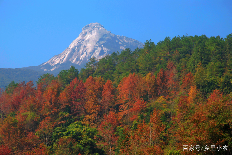 云髻山自然保护区游玩攻略,广东新丰云髻山风景区