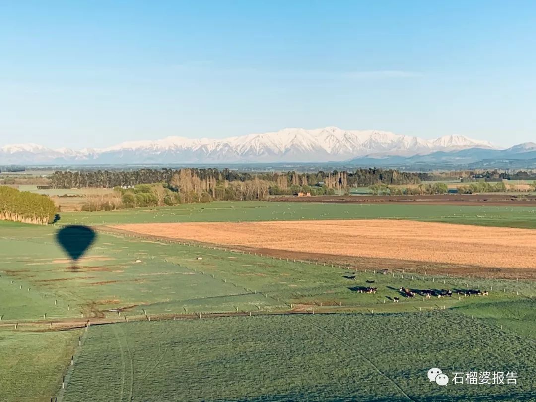 旅行7天,新西兰霍比特人村游记