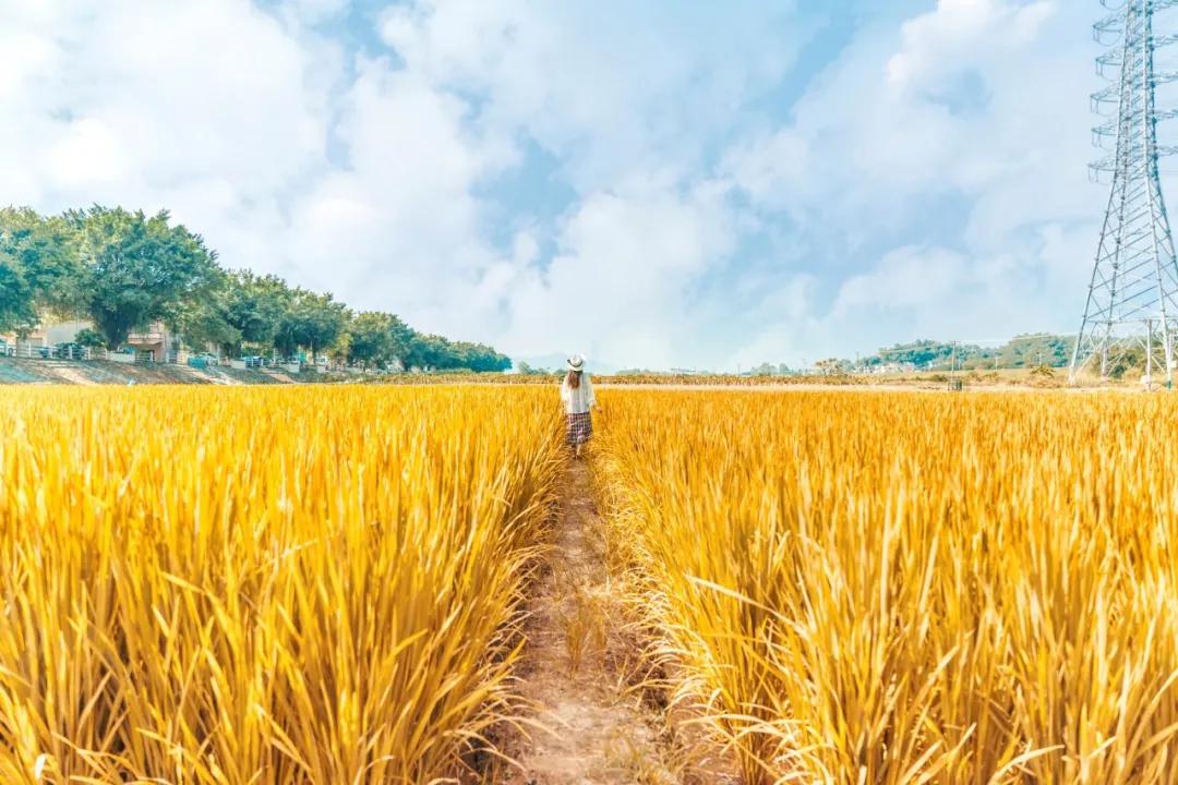 十首励志诗词不负韶华,诗词致青春