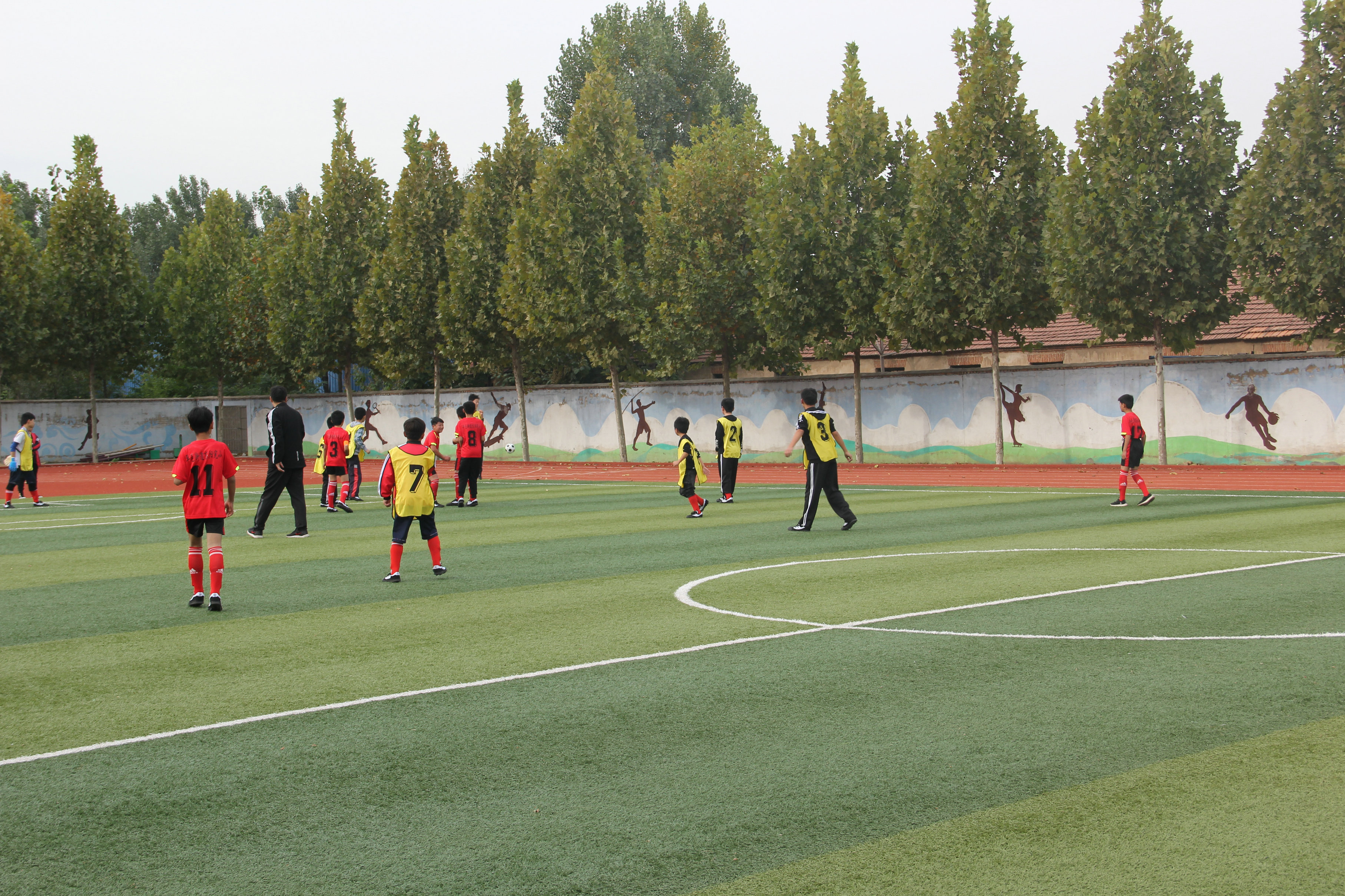 驰骋绿茵场足球争霸,驰骋绿茵场少年梦飞扬