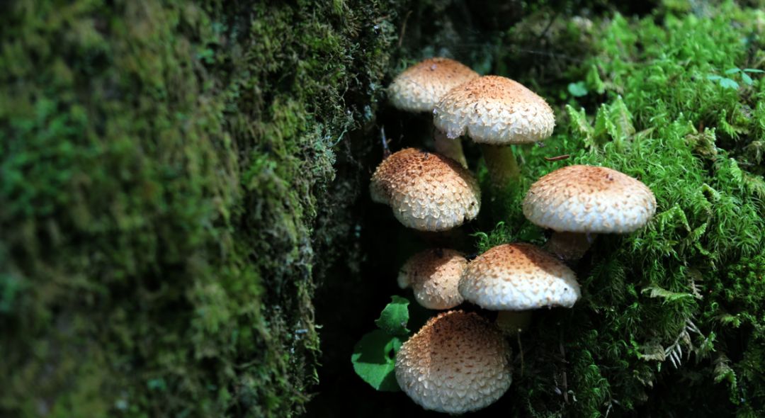 怎样能检测自己的体质,九种体质自测表评分怎么算