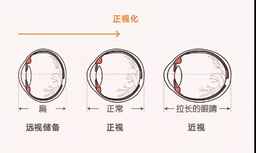 生命汇国际整合医疗怎么样,生命汇国际整合医疗