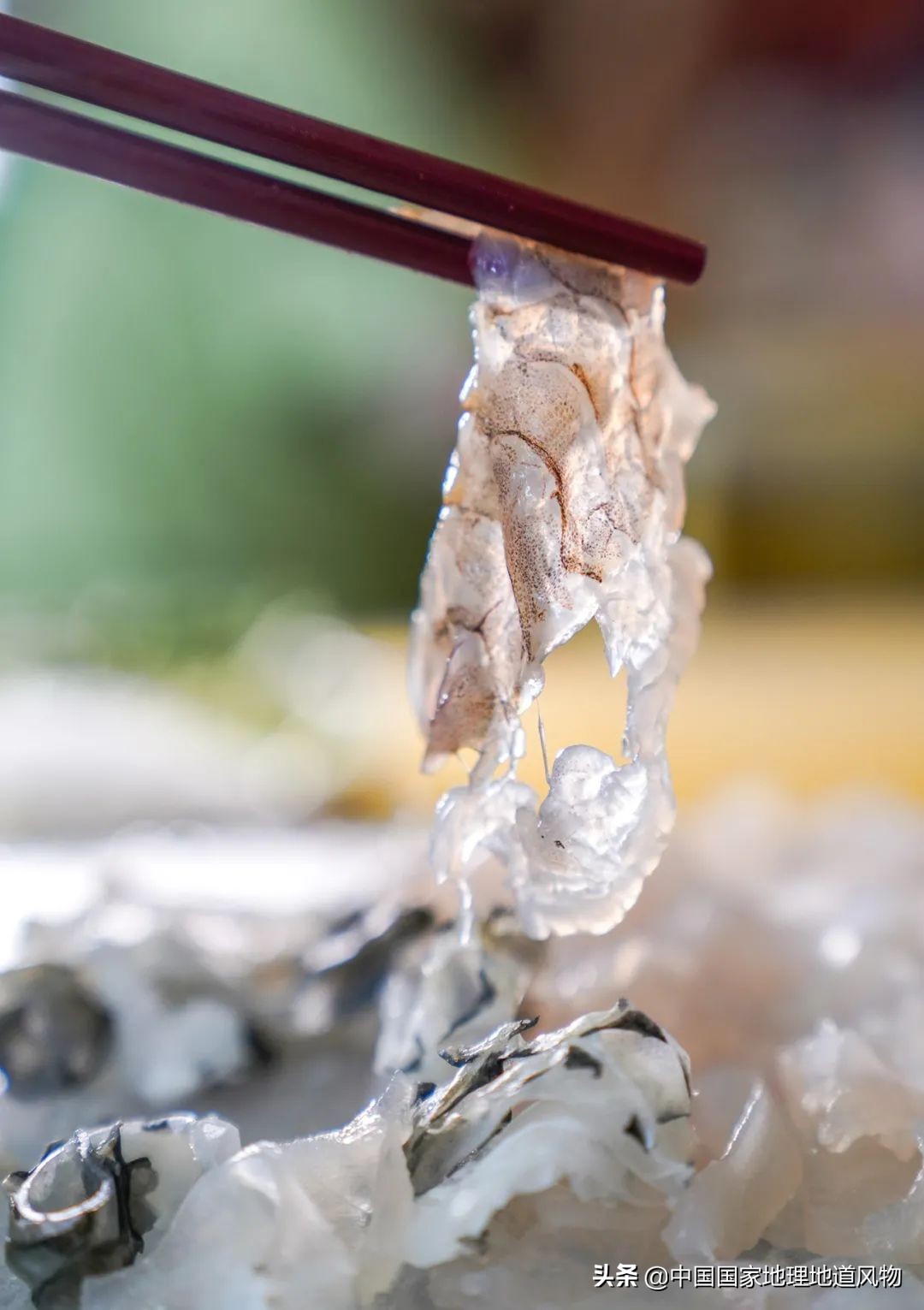 广东潮州为什么叫中国瓷都,广东潮州菜好吃吗