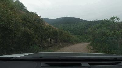 周末自驾游用什么轮胎好,海边自驾游用什么轮胎最好