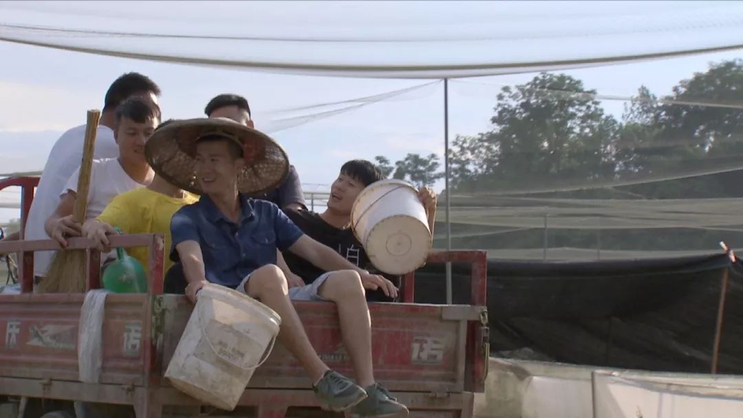 80后创业养殖青蛙视频,农民养青蛙致富项目