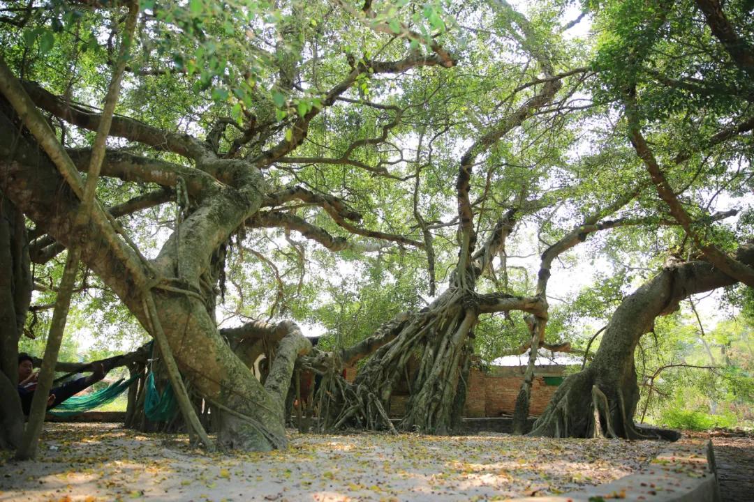 奋斗百年路启航新征程丨红色堡垒水井村！