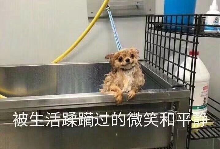 应届毕业生没签三方档案怎么办,应届毕业生签了三方协议档案到哪