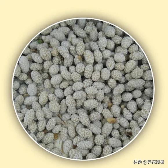 二月二龙抬头的来历与习俗,二月二龙抬头传统习俗来历